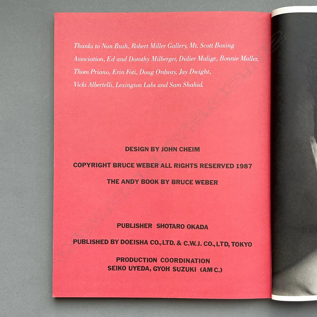 BRUCE WEBER: THE ANDY BOOK Image 1++